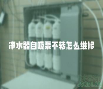 净水器自吸泵不转怎么维修
