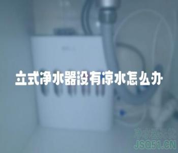 立式净水器没有凉水怎么办