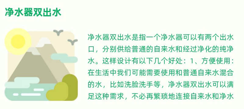 净水器双出水