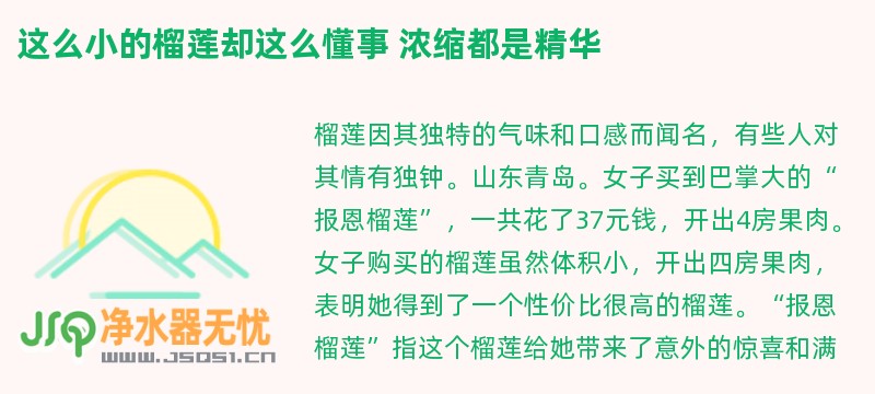 这么小的榴莲却这么懂事 浓缩都是精华