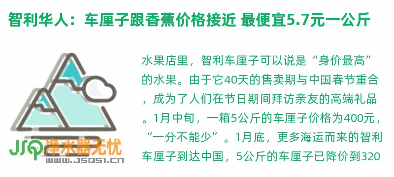 智利华人：车厘子跟香蕉价格接近 最便宜5.7元一公斤