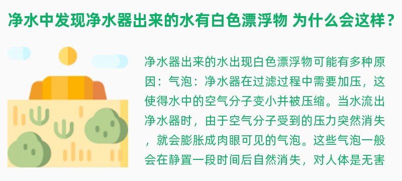 净水中发现净水器出来的水有白色漂浮物 为什么会这样？